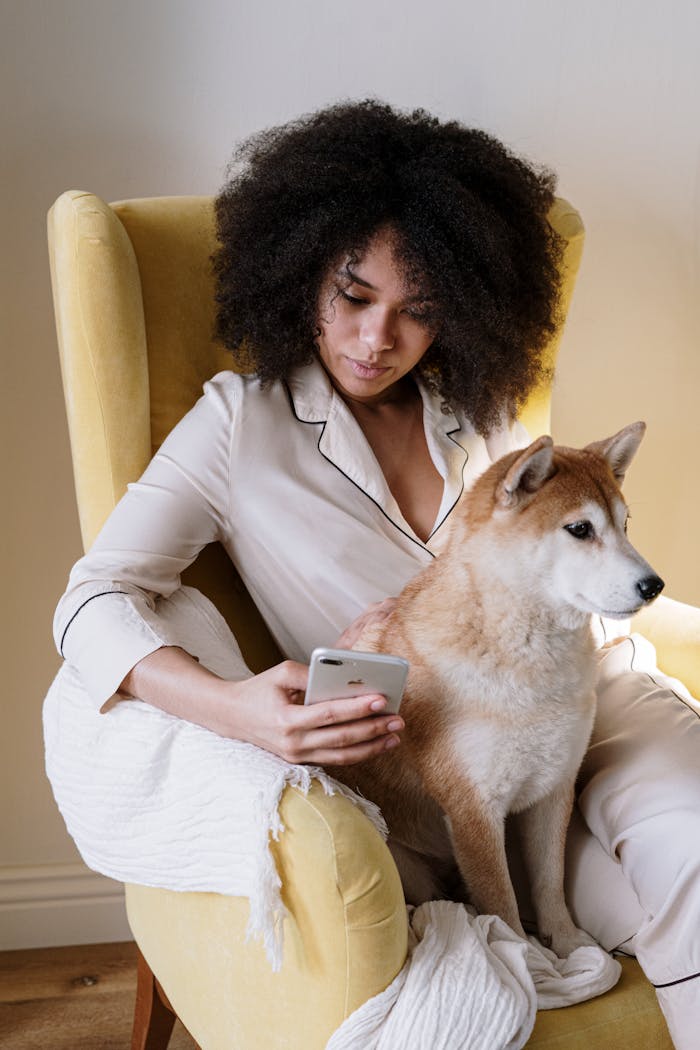 Woman with afro hair sitting in an armchair at home, holding a smartphone and petting her Shiba Inu dog.